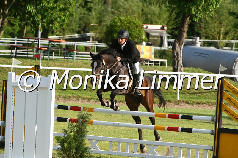 204M2001_Shigella_Stil Axx.JPG